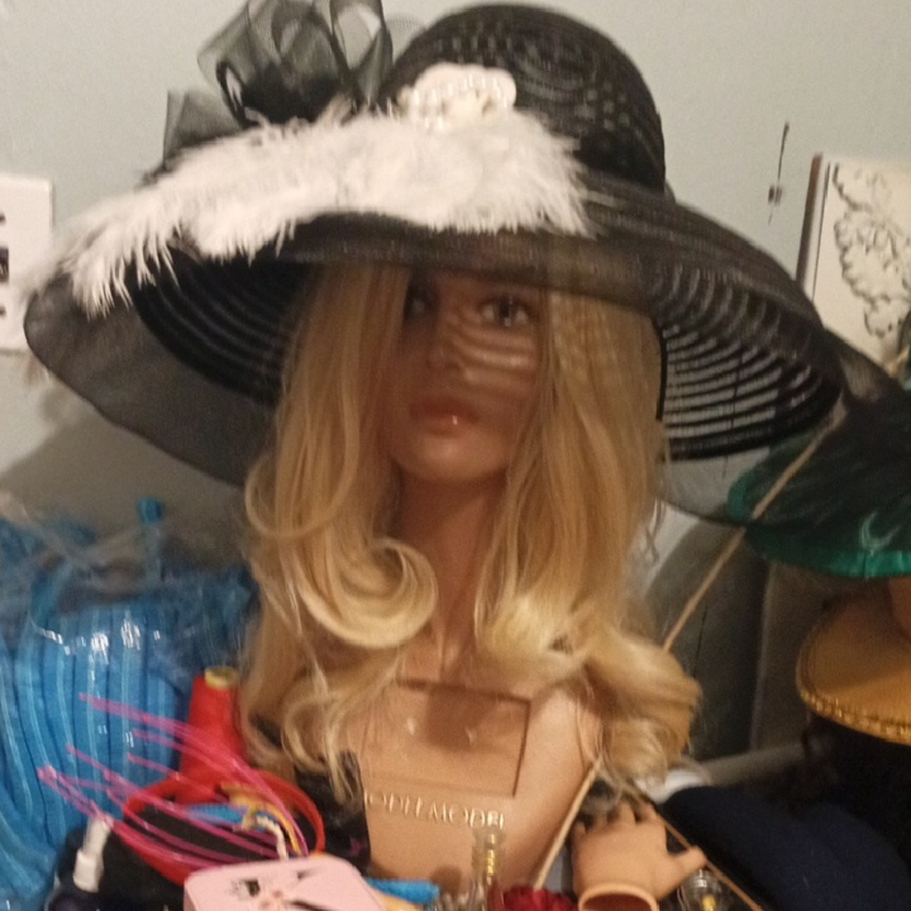 Elegant Black Wide-Brim Hat with White Feather